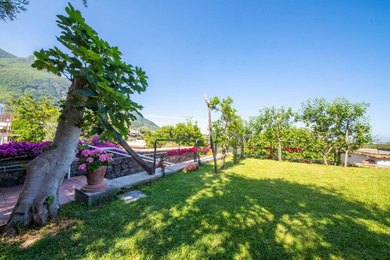 Appartamenti Ischia La Sentinella Casamicciola Terme Exterior foto